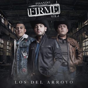 Los Del Arroyo – Ponchito De La Lima
