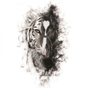 Alejandro Fernández Ft Los Tigres Del Norte – Para Sacarte De Mi Vida
