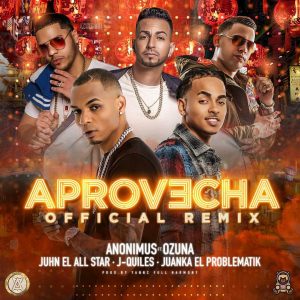 Anonimus Ft Ozuna, Juhn El All Star, J Quiles Y Juanka El Problematik – Aprovecha (Official Remix)