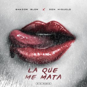 Shadow Blow Ft Don Miguelo – La Que Me Mata