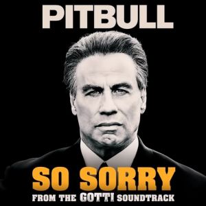 Pitbull – So Sorry (From the Gotti Soundtrack)