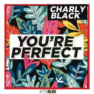 Charly Black – You’re Perfect