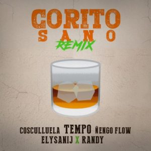 Tempo Ft Ñengo Flow, Randy, Cosculluela, Elysanij – Corito Sano (Official Remix)