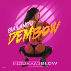 Shadow Blow – Bailando Dembow